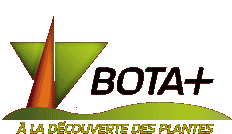 Botaplus